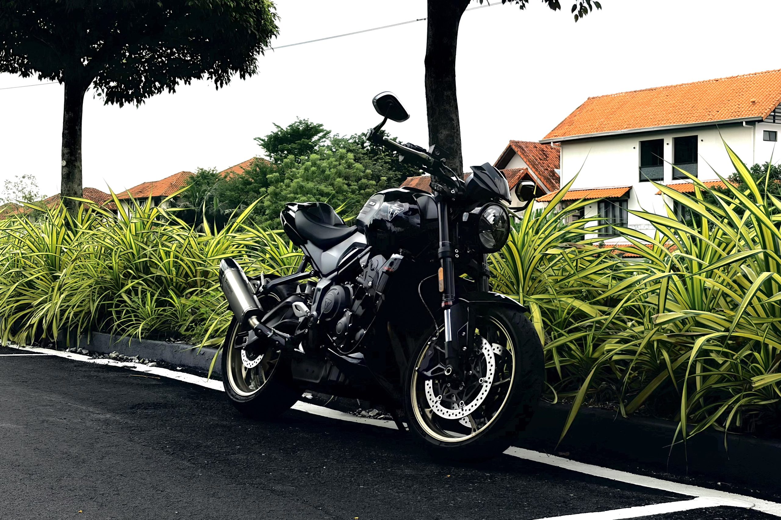 Triumph Trident 800 Review